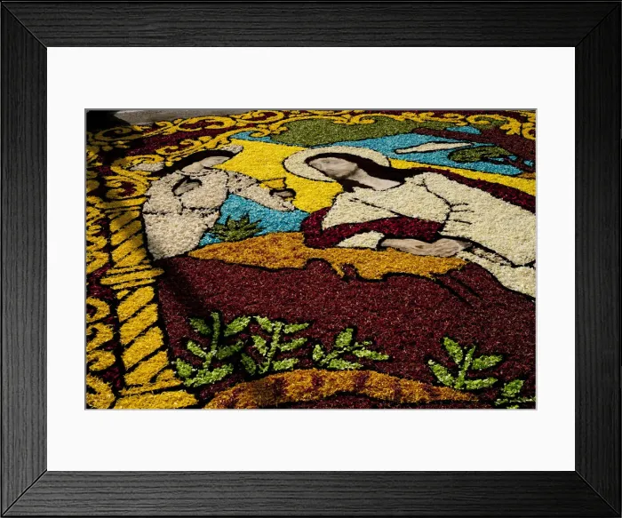 Framed Print : Holy Week Surco Flower Carpet, Lima, Peru, 2015. Creator: Luis Rosendo Framed Print : Holy Week Surco Flower Carpet, Lima, Peru, 2015. Creator: Luis Rosendo
