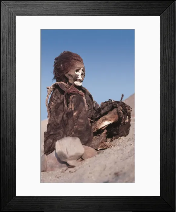 Framed Print : Nazca Mummies, Ica, Peru, 2015. Creator: Luis Rosendo Framed Print : Nazca Mummies, Ica, Peru, 2015. Creator: Luis Rosendo