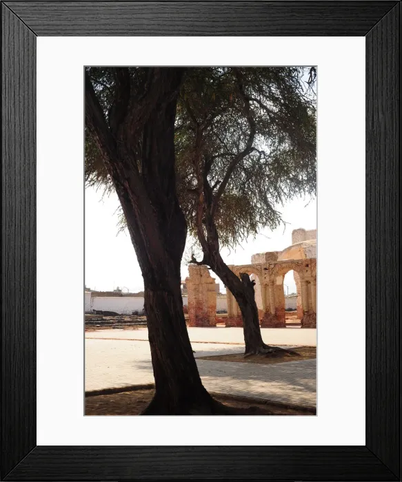 Framed Print : Zana, Lambayeque, Peru, 2015. Creator: Luis Rosendo Framed Print : Zana, Lambayeque, Peru, 2015. Creator: Luis Rosendo