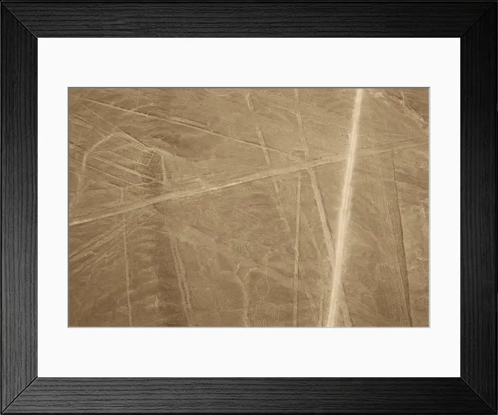 Framed Print : The Condor, Nazca Lines, Ica, Peru, 2015. Creator: Luis Rosendo