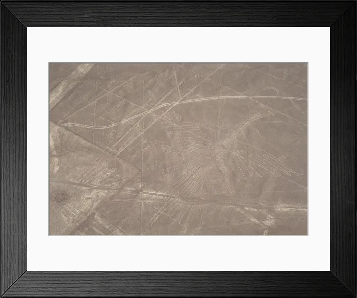Framed Print : The Condor, Nazca Lines, Ica, Peru, 2015. Creator: Luis Rosendo Framed Print : The Condor, Nazca Lines, Ica, Peru, 2015. Creator: Luis Rosendo