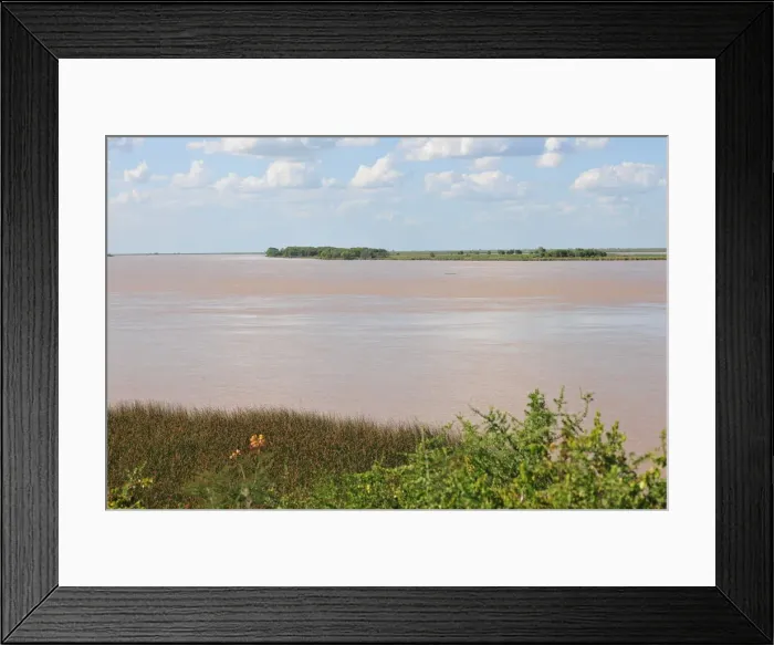 Framed Print : Parana River, Buenos Aires, Argentina, 2015. Creator: Luis Rosendo Framed Print : Parana River, Buenos Aires, Argentina, 2015. Creator: Luis Rosendo