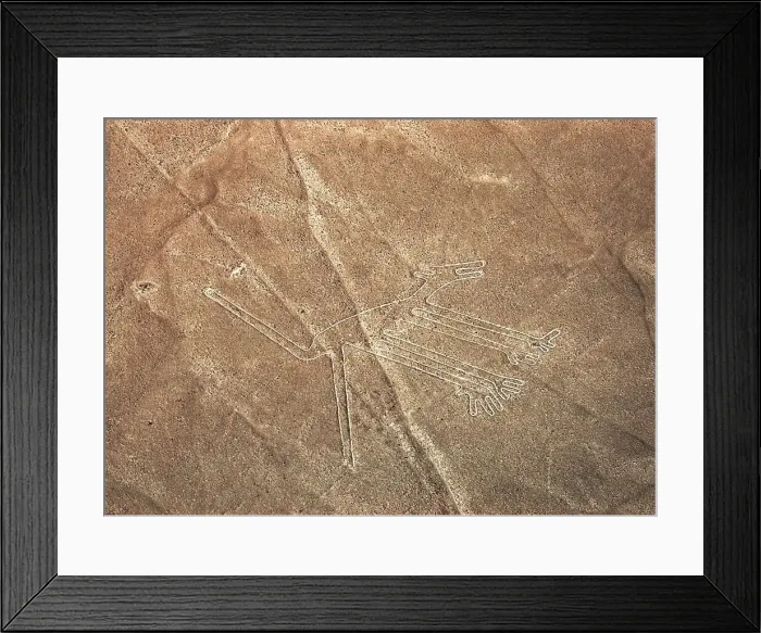Framed Print : The Dog, Nazca Lines, Ica, Peru, 2015. Creator: Luis Rosendo Framed Print : The Dog, Nazca Lines, Ica, Peru, 2015. Creator: Luis Rosendo