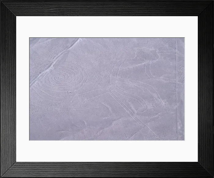 Framed Print : The Monkey, Nazca Lines, Ica, Peru, 2015. Creator: Luis Rosendo Framed Print : The Monkey, Nazca Lines, Ica, Peru, 2015. Creator: Luis Rosendo