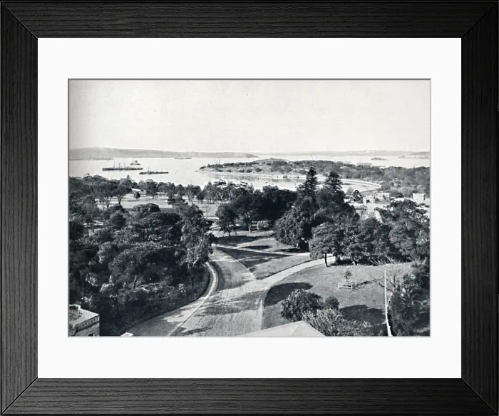 Framed Print : Sydney Harbour and Botanical Gardens, c1900. Creator: Unknown Framed Print : Sydney Harbour and Botanical Gardens, c1900. Creator: Unknown