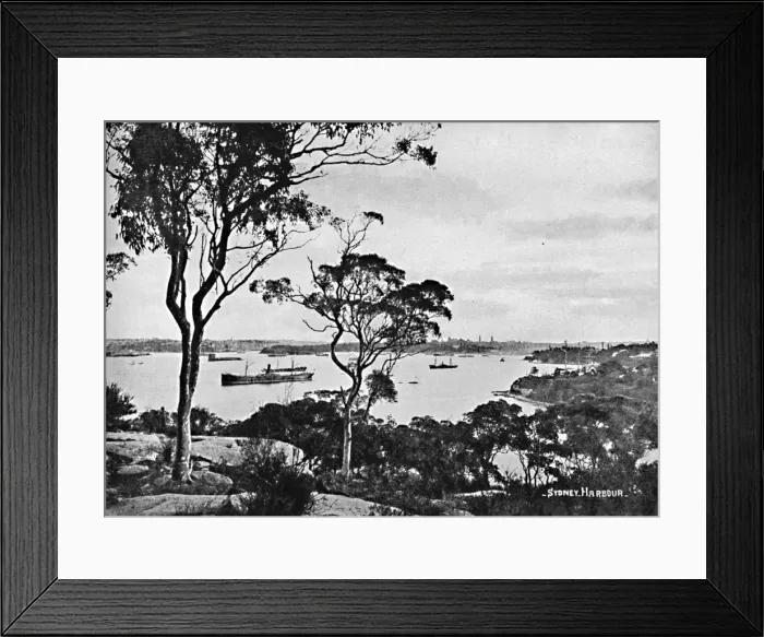 Framed Print : Sydney Harbour, from Cremorne Point, c1900. Creator: Unknown Framed Print : Sydney Harbour, from Cremorne Point, c1900. Creator: Unknown