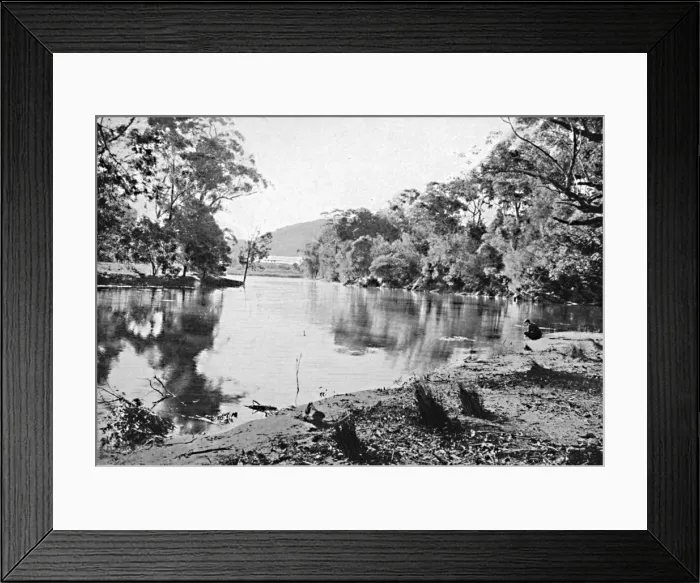 Framed Print : Evening Shadows, National Park, c1900. Creator: Unknown Framed Print : Evening Shadows, National Park, c1900. Creator: Unknown