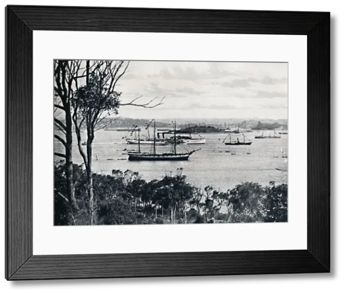 Framed Print : View of Sydney Harbour from North Shore, No. 1, c1900. Creator: Unknown Framed Print : View of Sydney Harbour from North Shore, No. 1, c1900. Creator: Unknown