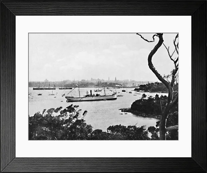 Framed Print : View of Sydney Harbour from North Shore, No. 2, c1900. Creator: Unknown Framed Print : View of Sydney Harbour from North Shore, No. 2, c1900. Creator: Unknown