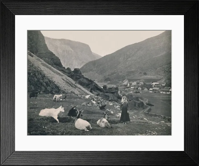 Framed Print : Flaam, 1914. Creator: Unknown Framed Print : Flaam, 1914. Creator: Unknown