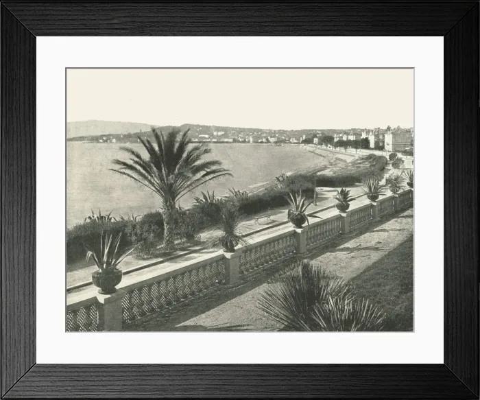 Framed Print : The panorama of La Croisette, Cannes, France, 1895. Creator: Unknown Framed Print : The panorama of La Croisette, Cannes, France, 1895. Creator: Unknown