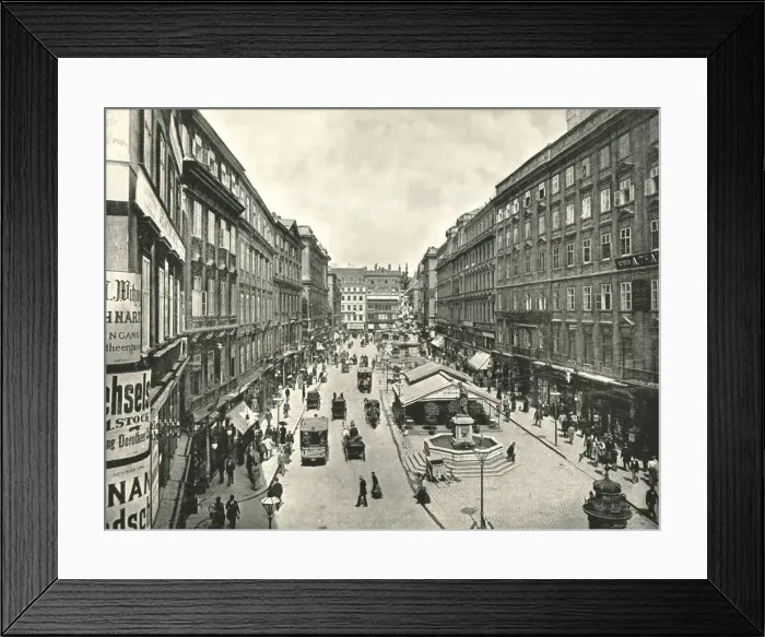 Framed Print : The Graben, Vienna, Austria, 1895. Creator: Unknown Framed Print : The Graben, Vienna, Austria, 1895. Creator: Unknown