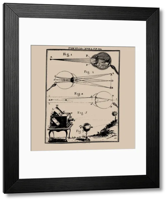 Framed Print : Comparative depiction of the human eye and the camera obscura, 18th century. Creator: Anonymous Framed Print : Comparative depiction of the human eye and the camera obscura, 18th century. Creator: Anonymous