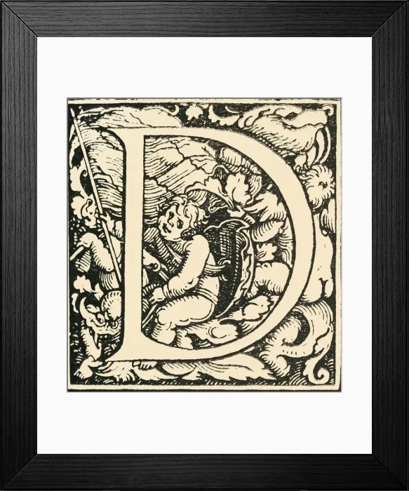 Framed Print : D - An Alphabet by Hans Weiditz, c1520-1521, (1908). Creator: Hans Weiditz Framed Print : D - An Alphabet by Hans Weiditz, c1520-1521, (1908). Creator: Hans Weiditz