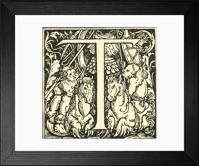 Framed Print : T - An Alphabet by Hans Weiditz, c1520-1521, (1908). Creator: Hans Weiditz Framed Print : T - An Alphabet by Hans Weiditz, c1520-1521, (1908). Creator: Hans Weiditz