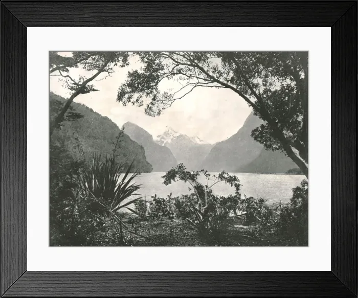 Framed Print : Milford Sound, New Zealand, 1895. Creator: Burton Brothers Framed Print : Milford Sound, New Zealand, 1895. Creator: Burton Brothers