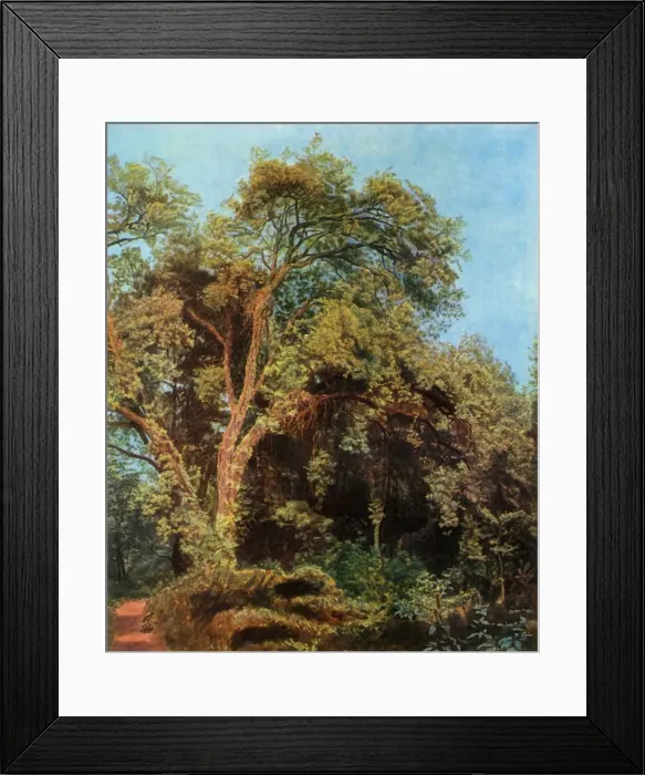 Framed Print : Tree in the Park, mid 19th century, (1965). Creator: Aleksandr Ivanov Framed Print : Tree in the Park, mid 19th century, (1965). Creator: Aleksandr Ivanov