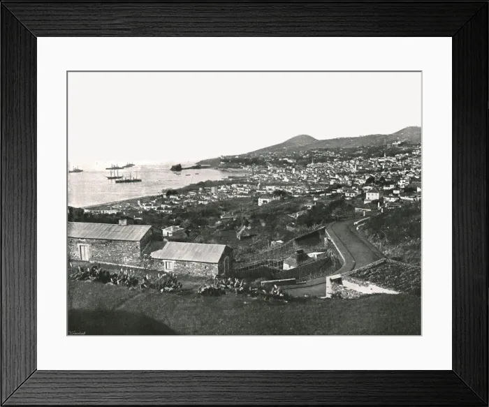 Framed Print : General view of Funchal, Madeira, Portugal, 1895. Creator: Unknown Framed Print : General view of Funchal, Madeira, Portugal, 1895. Creator: Unknown