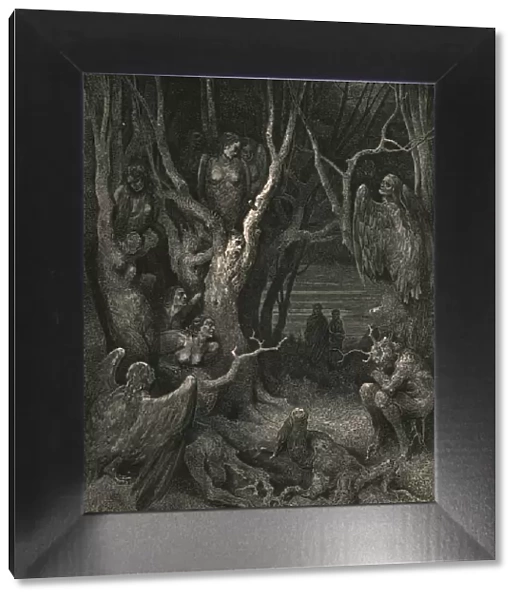 Here the brute Harpies make their nest, c1890. Creator: Gustave Doré