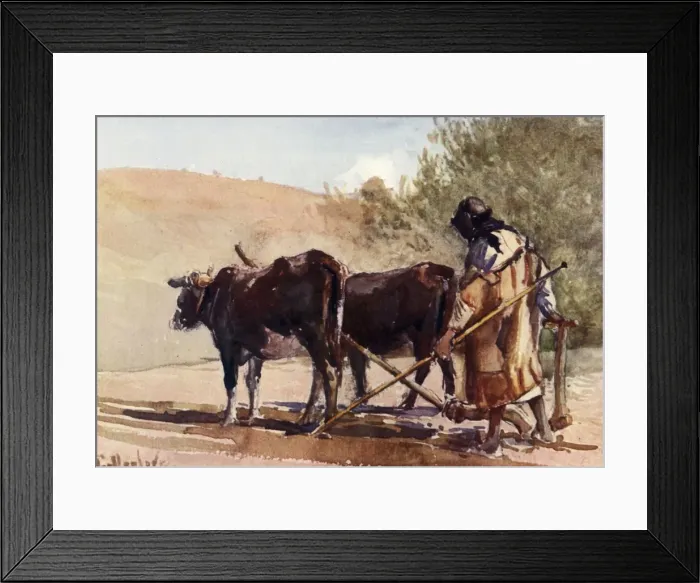 Framed Print : Ploughing on the Mount of Olives, 1902. Creator: John Fulleylove Framed Print : Ploughing on the Mount of Olives, 1902. Creator: John Fulleylove