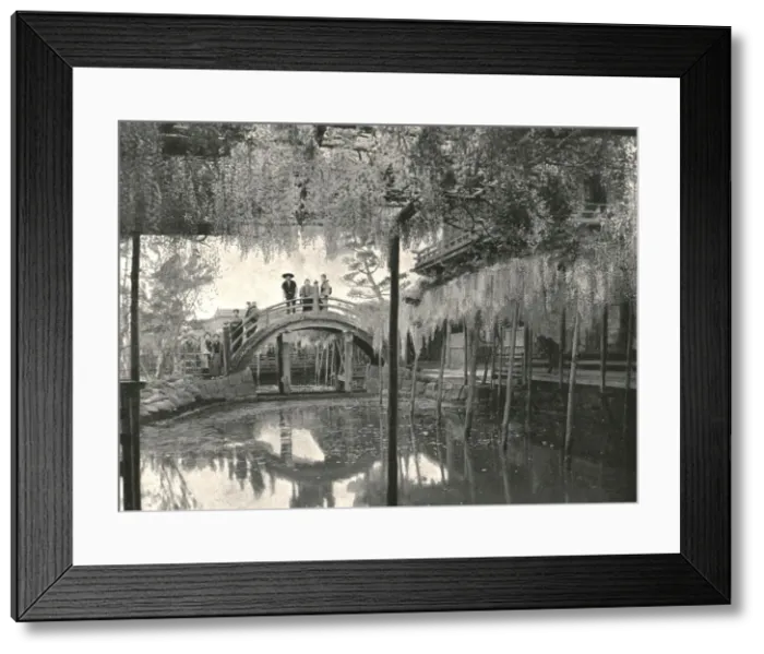Framed Print : The Shinji-No-Ike Pond and wisteria, Kameido, Tokyo, Japan, 1895. Creator: Unknown