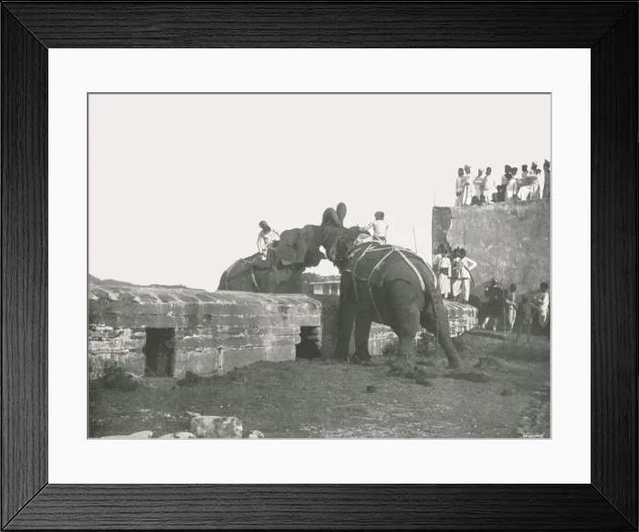 Framed Print : An elephant fight, Hyderabad, India, 1895. Creator: Unknown Framed Print : An elephant fight, Hyderabad, India, 1895. Creator: Unknown
