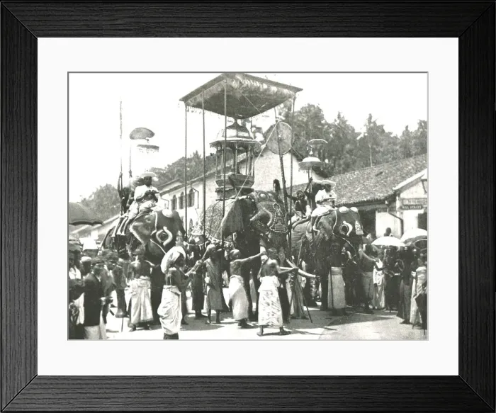 Framed Print : Religious procession, Colombo, Ceylon, 1895. Creator: Unknown Framed Print : Religious procession, Colombo, Ceylon, 1895. Creator: Unknown