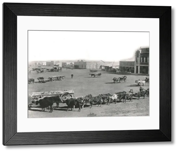 Framed Print : The Market Square, Johannesburg, South Africa, 1895. Creator: William Laws Caney Framed Print : The Market Square, Johannesburg, South Africa, 1895. Creator: William Laws Caney
