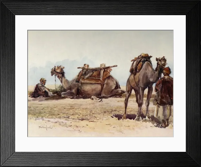 Framed Print : Study of Camels and Attendants, 1902. Creator: John Fulleylove Framed Print : Study of Camels and Attendants, 1902. Creator: John Fulleylove