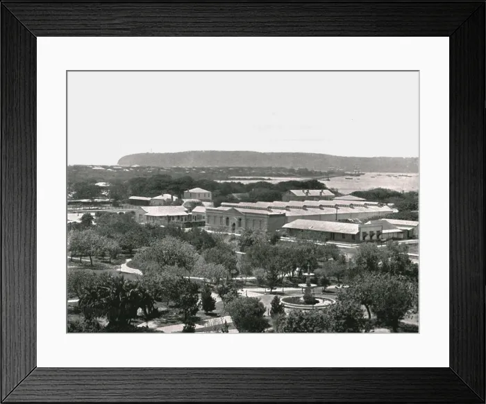 Framed Print : View from the Town Hall, Durban, South Africa, 1895. Creator: William Laws Caney Framed Print : View from the Town Hall, Durban, South Africa, 1895. Creator: William Laws Caney