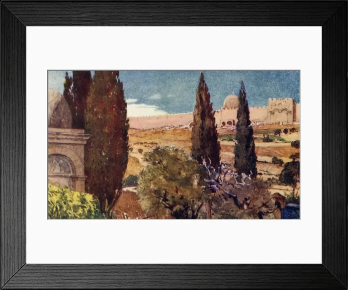 Framed Print : The Cypresses of the Garden of Gethsemane, 1902. Creator: John Fulleylove Framed Print : The Cypresses of the Garden of Gethsemane, 1902. Creator: John Fulleylove