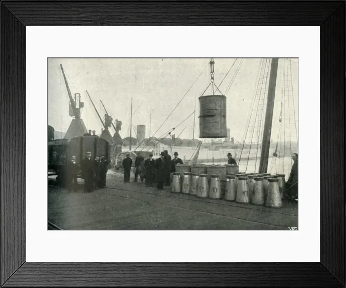 Framed Print : French Milk Being Landed at Southampton, 1902. Creator: Unknown Framed Print : French Milk Being Landed at Southampton, 1902. Creator: Unknown