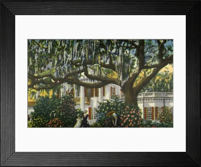 Framed Print : A Mansion in the Carolinas, 1942. Creator: Unknown Framed Print : A Mansion in the Carolinas, 1942. Creator: Unknown