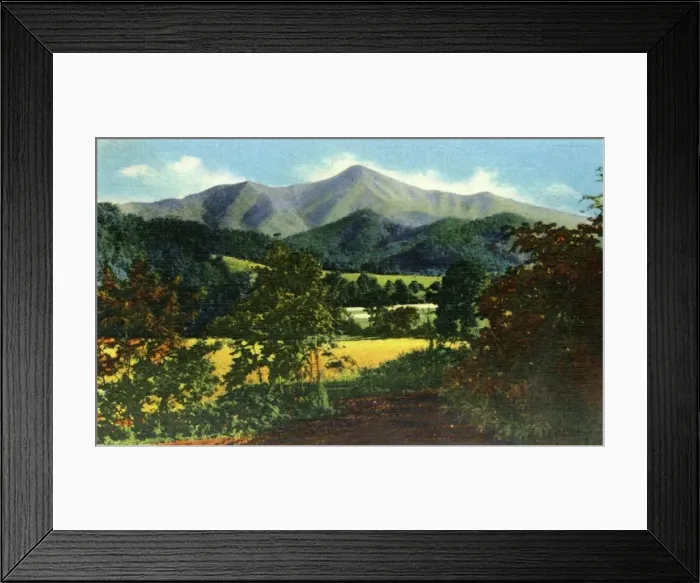 Framed Print : Mr. Pisgah, and the Rat in the Distance, Western North Carolina, 1942. Creator: Unknown Framed Print : Mr. Pisgah, and the Rat in the Distance, Western North Carolina, 1942. Creator: Unknown