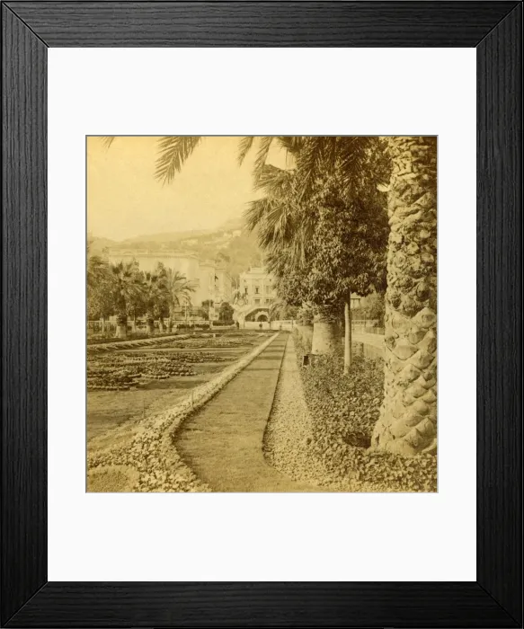 Framed Print : Monte Carlo, looking from the Casino, 1897. Creator: BW Kilburn Framed Print : Monte Carlo, looking from the Casino, 1897. Creator: BW Kilburn