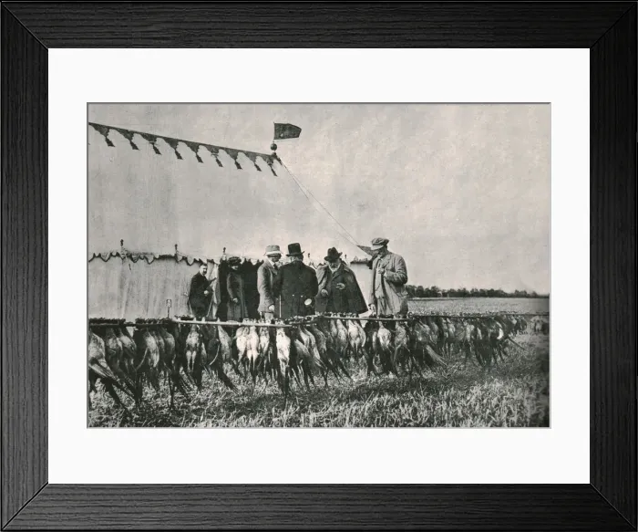 Framed Print : King Edward VII inspecting the bag at Sherborne Estate, 1902, (1910). Creator: Unknown Framed Print : King Edward VII inspecting the bag at Sherborne Estate, 1902, (1910). Creator: Unknown
