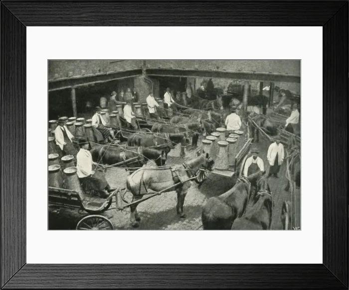 Framed Print : Delivery Vans Starting from Messrs, Freeth and Pococks Central Depot at Vauxhall, 1902 Framed Print : Delivery Vans Starting from Messrs, Freeth and Pococks Central Depot at Vauxhall, 1902