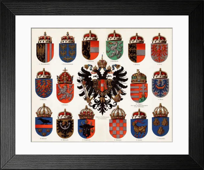 Framed Print : Coats of arms of Counties of Austria-Hungary and small Austrian national coat of arms, c Framed Print : Coats of arms of Counties of Austria-Hungary and small Austrian national coat of arms, c