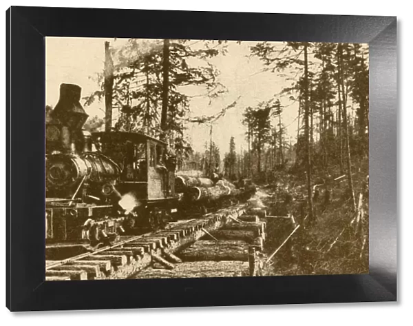 A Logging Railway, British Coumbia, 1930. Creator: ENA