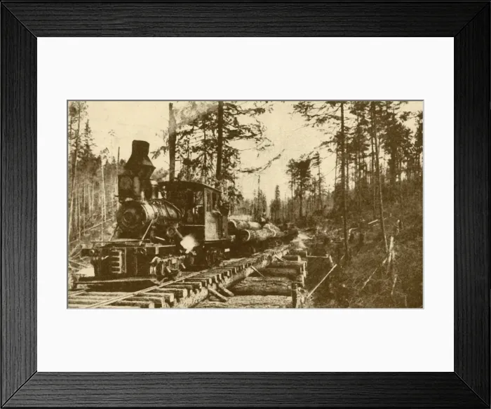 Framed Print : A Logging Railway, British Coumbia, 1930. Creator: ENA Framed Print : A Logging Railway, British Coumbia, 1930. Creator: ENA