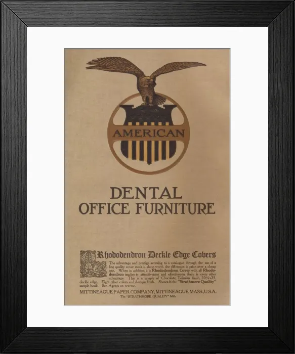 Framed Print : American Dental Office Furniture - Rhododendron Deckle Cage Covers, 1909. Creators: Unknown Framed Print : American Dental Office Furniture - Rhododendron Deckle Cage Covers, 1909. Creators: Unknown