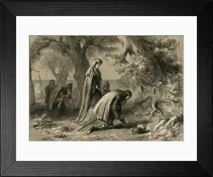 Framed Print : Thorfin and Gudrida on the Shore of Vineland, (1877). Creator: Albert Bobbett Framed Print : Thorfin and Gudrida on the Shore of Vineland, (1877). Creator: Albert Bobbett