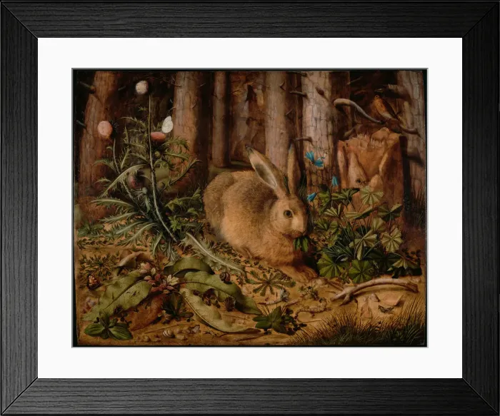 Framed Print : A Hare in the Forest, ca 1585. Artist: Hoffmann, Hans (1530-1592) Framed Print : A Hare in the Forest, ca 1585. Artist: Hoffmann, Hans (1530-1592)