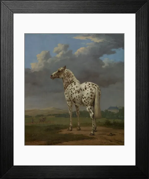 Framed Print : Piebald Horse, ca 1654. Artist: Potter, Paulus (1625-1654) Framed Print : Piebald Horse, ca 1654. Artist: Potter, Paulus (1625-1654)