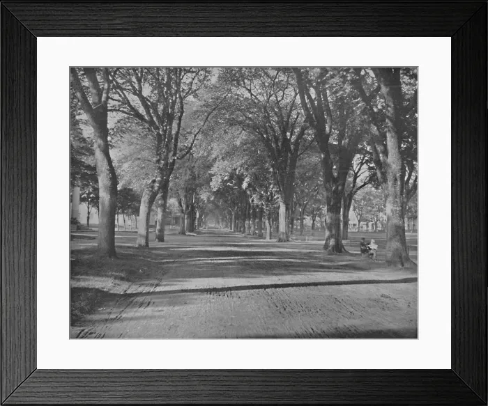 Framed Print : The Elms, New Haven, Conn. c1897. Creator: Unknown Framed Print : The Elms, New Haven, Conn. c1897. Creator: Unknown