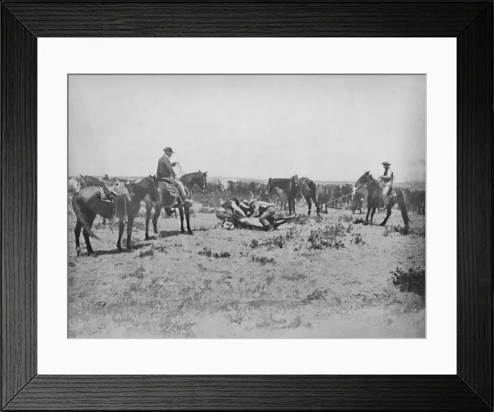 Framed Print : Inspecting a Brand on the Prairies, c1897. Creator: Unknown Framed Print : Inspecting a Brand on the Prairies, c1897. Creator: Unknown