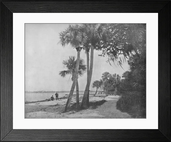 Framed Print : Indian River, Florida, c1897. Creator: Unknown Framed Print : Indian River, Florida, c1897. Creator: Unknown