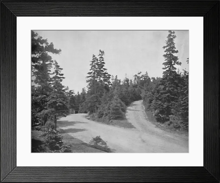 Framed Print : Point Pleasant Park, Halifax, Nova Scotia, c1897. Creator: Unknown Framed Print : Point Pleasant Park, Halifax, Nova Scotia, c1897. Creator: Unknown
