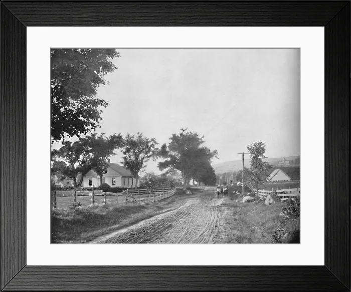 Framed Print : On the Road to Echo Lake, White Mountains, New Hampshire, c1897. Creator: Unknown Framed Print : On the Road to Echo Lake, White Mountains, New Hampshire, c1897. Creator: Unknown