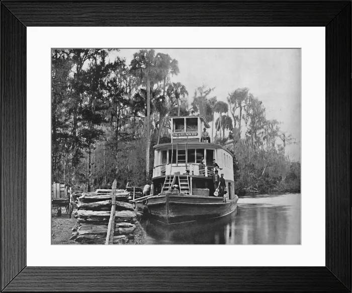 Framed Print : On the Ocklawaha River, Florida, c1897. Creator: Unknown Framed Print : On the Ocklawaha River, Florida, c1897. Creator: Unknown